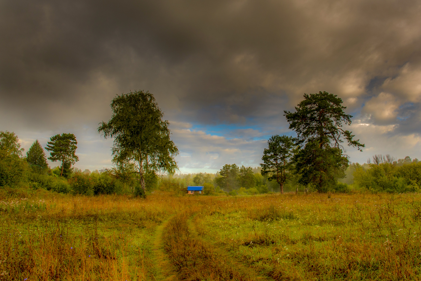 Синяя крыша