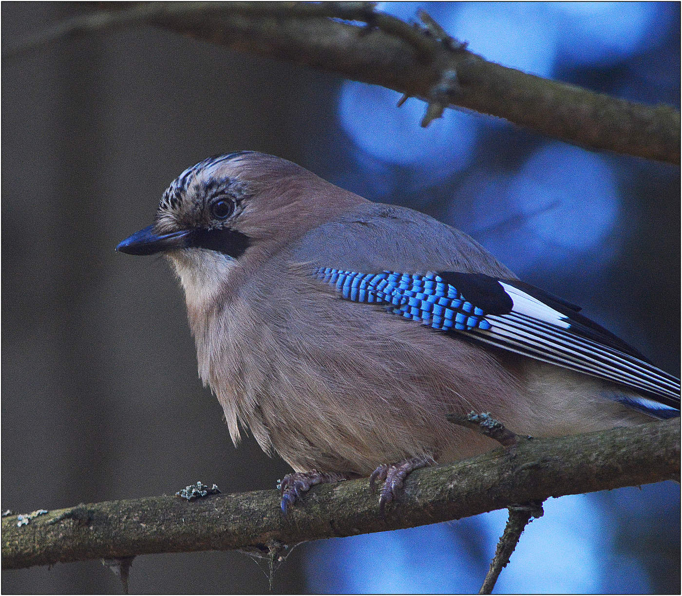 Да и призадумалась.