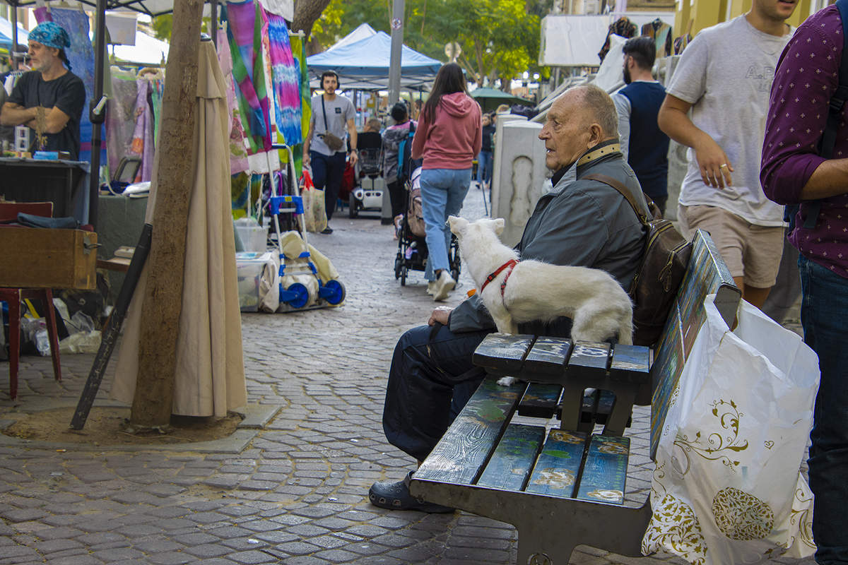 Среди суеты