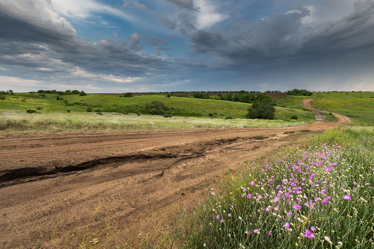 Через степь