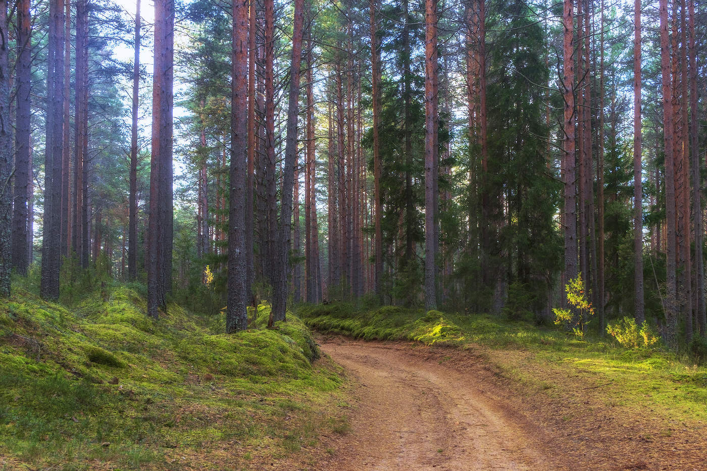 С первыми лучами