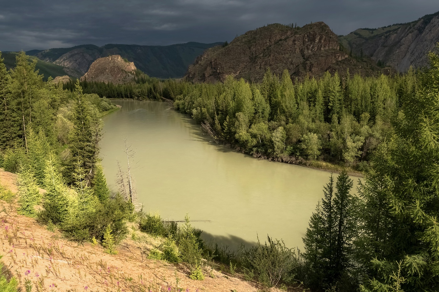 Перед грозой