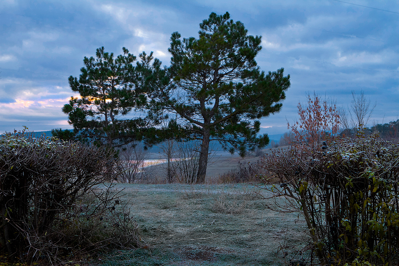 Ожидание рассвета