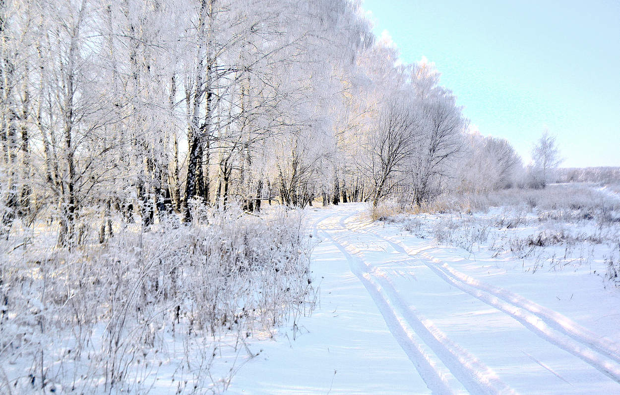 Предновогодние природные украшения