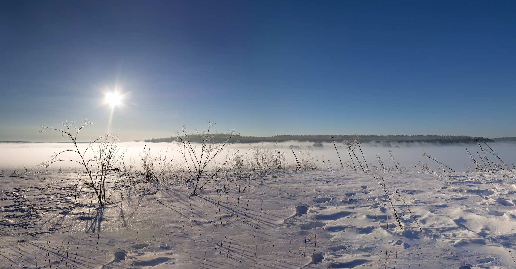 Зимнее безмолвие