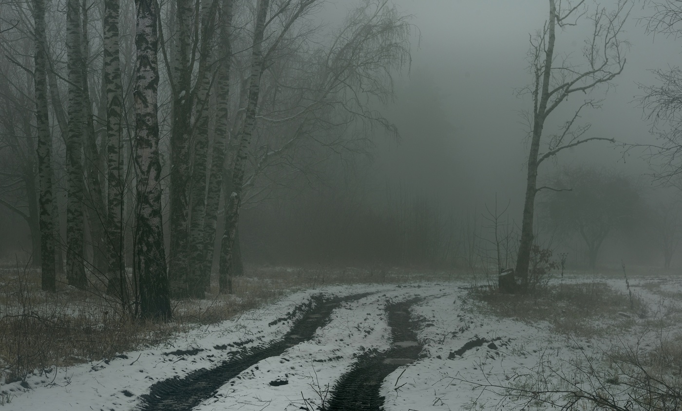 Туманное утро