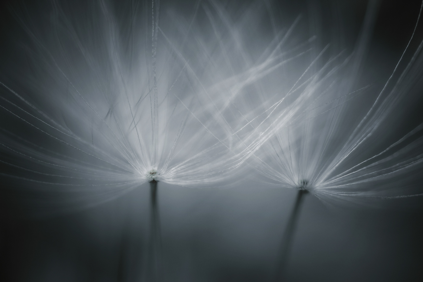 Где-то во Вселенной...