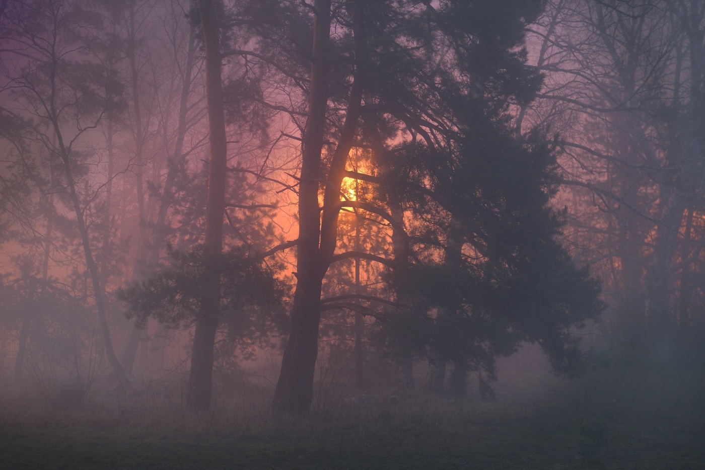 Ночной туман