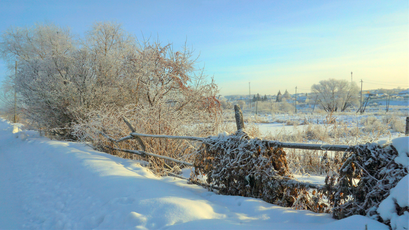 В чудесный зимний день