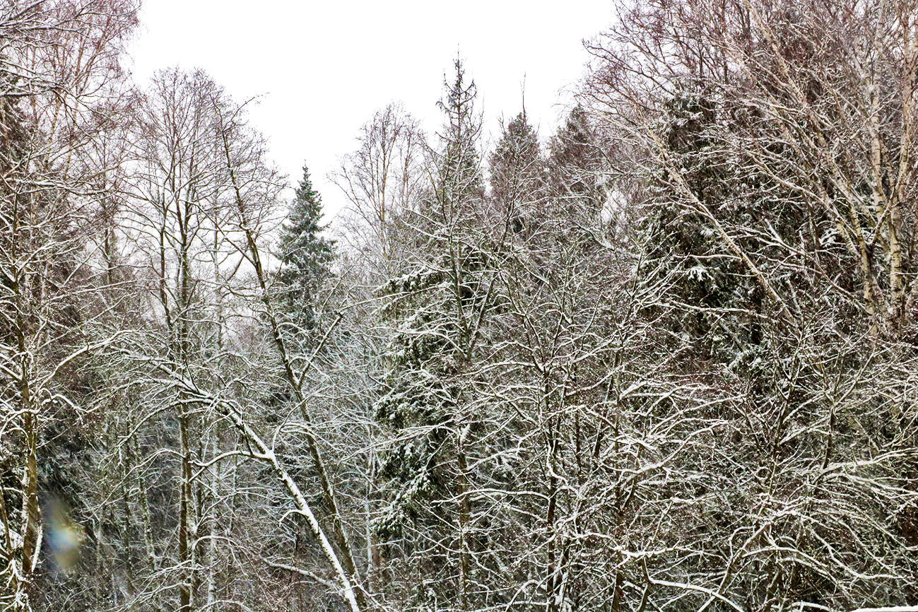 Скрипит зима, трещит мороз...