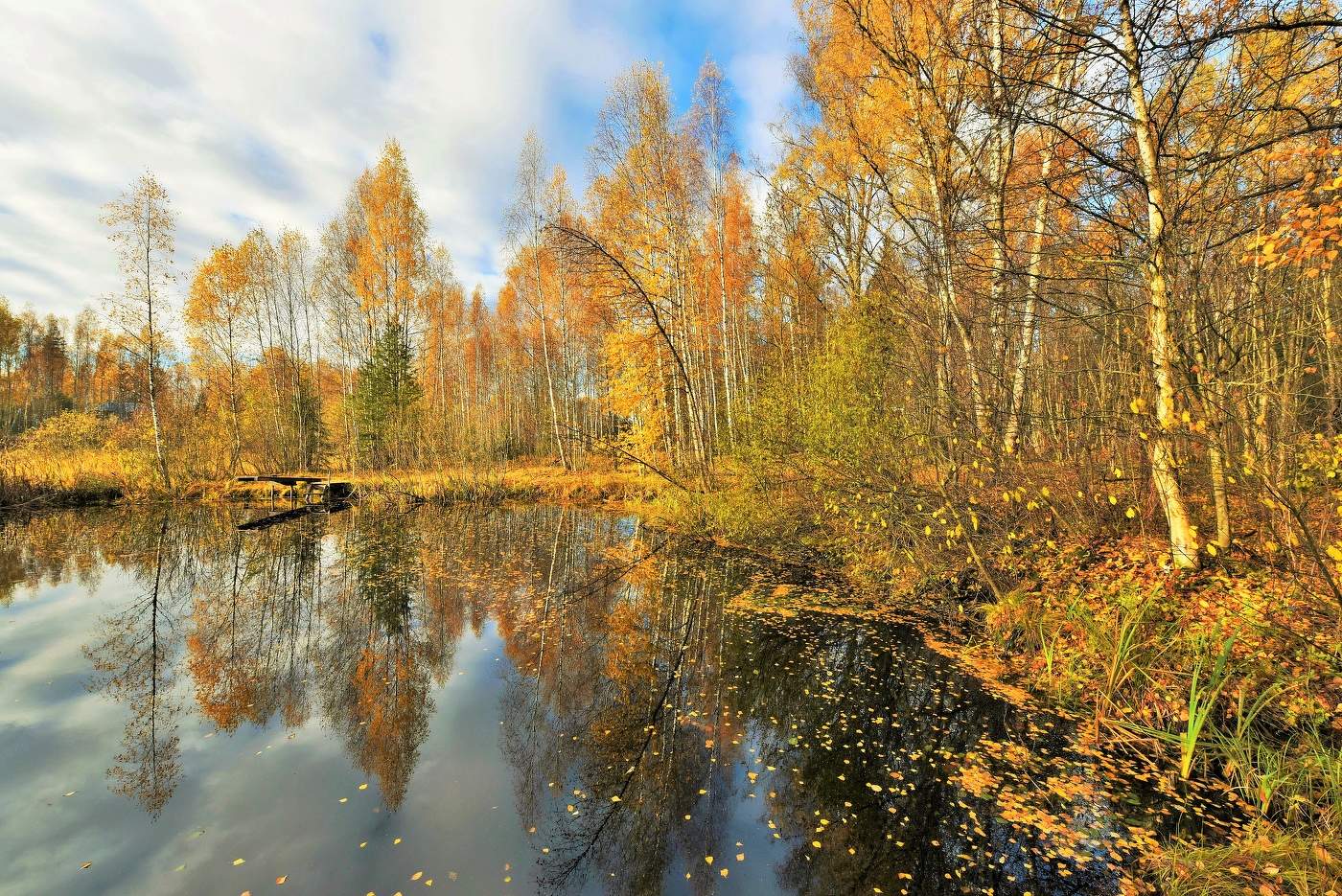 " Это осень , мой друг ..."