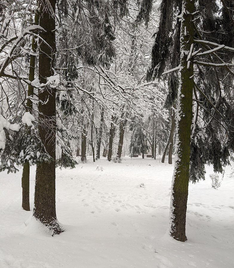 Прошлогодний снег