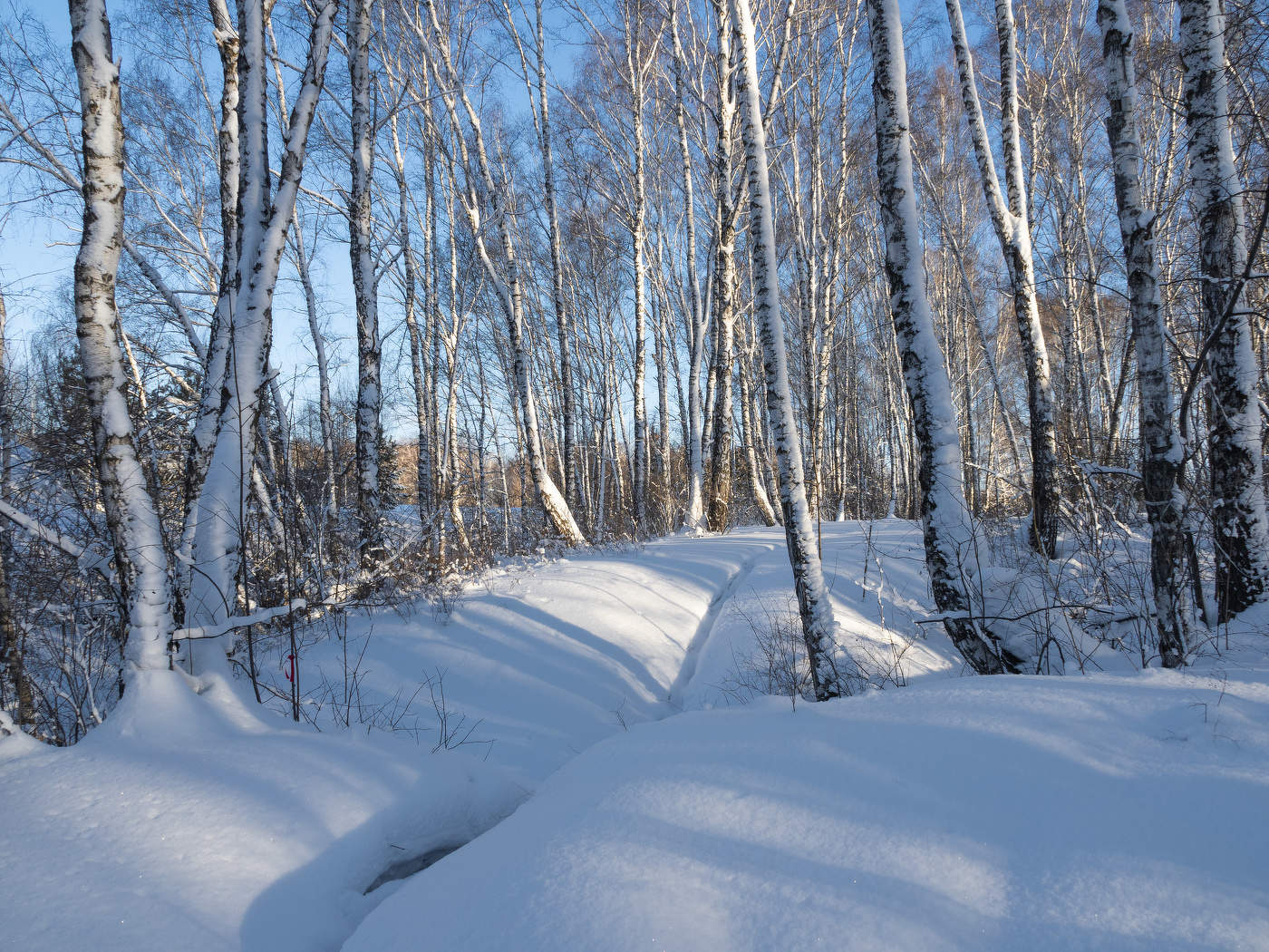 Куда ты тропинка меня завела