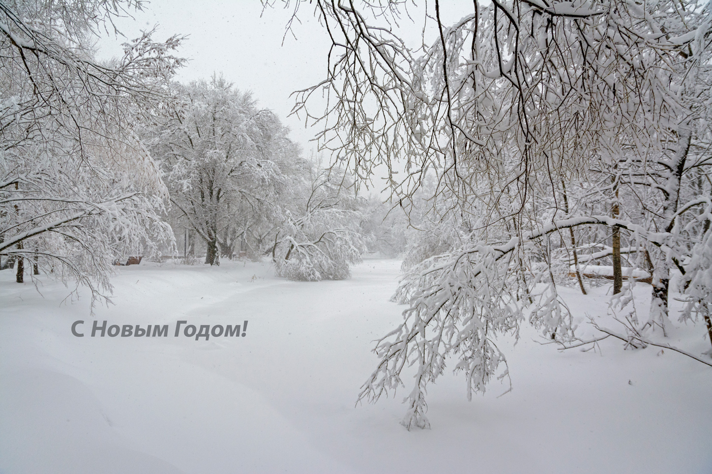 С Новым Годом!