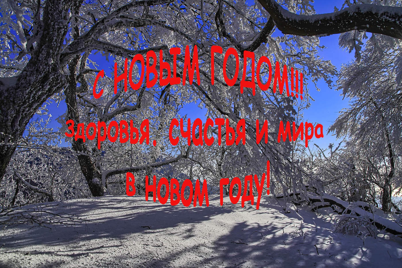 С Новым годом, уважаемые коллеги!!