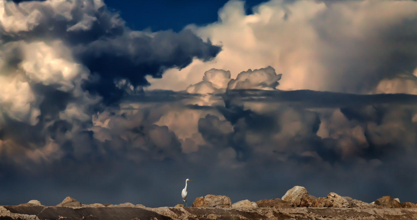 Камни, птичка, облака