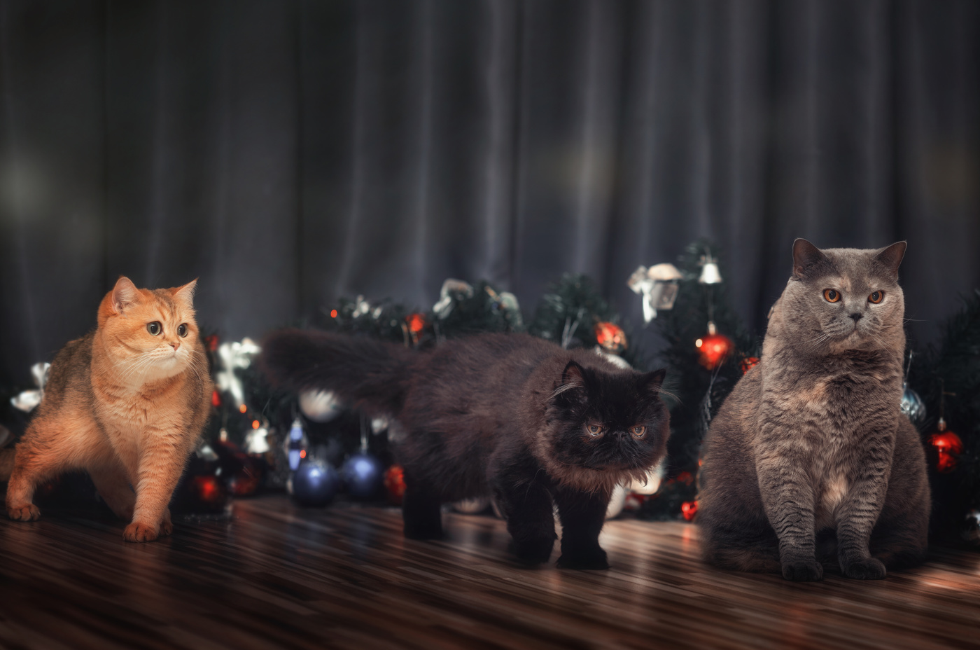 Потому что мы - банда!!!