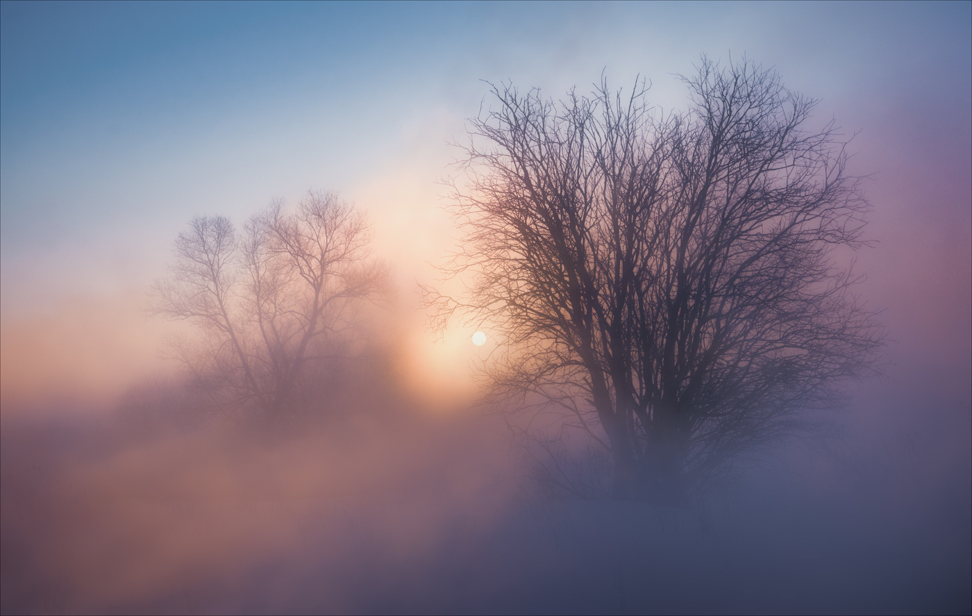 С Новым годом!