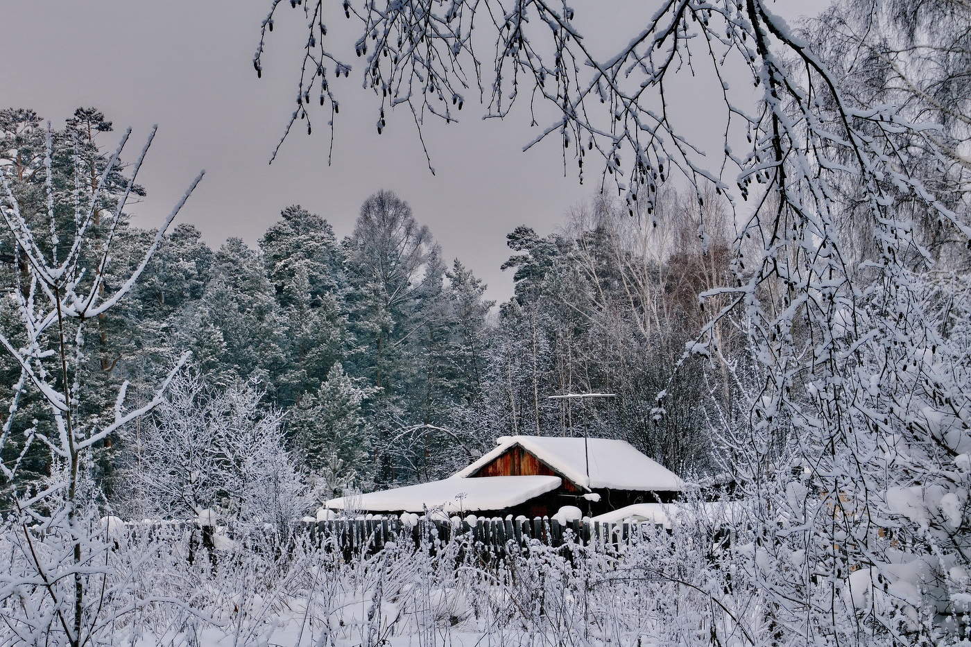*Трескучий мороз.**