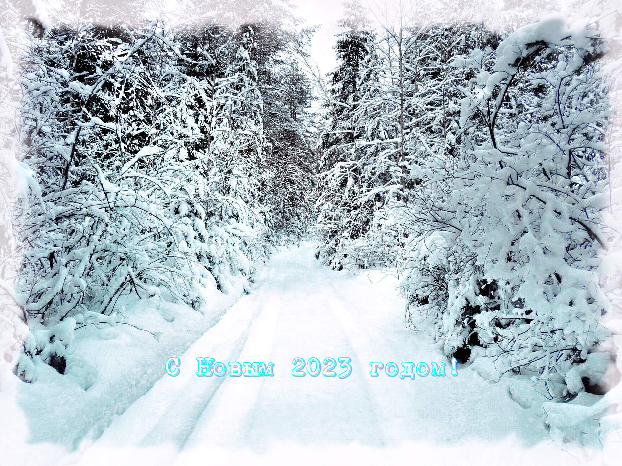 С Новым 2023 годом!