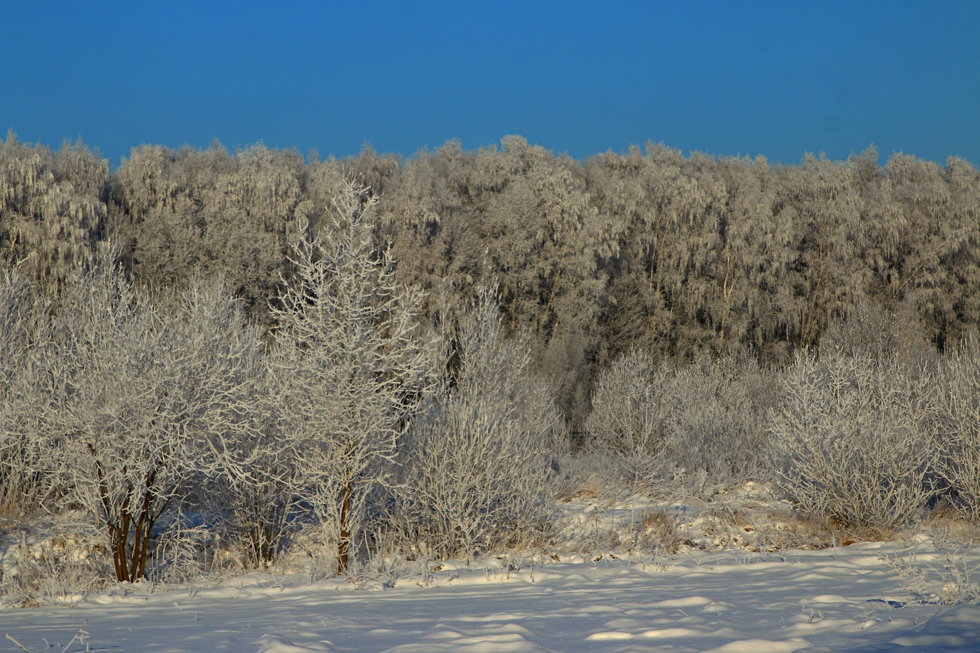 Поздравляю Всех с наступающим Новым Годом!!!