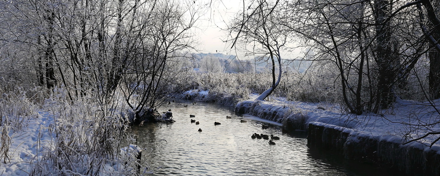 Речка Чертановка