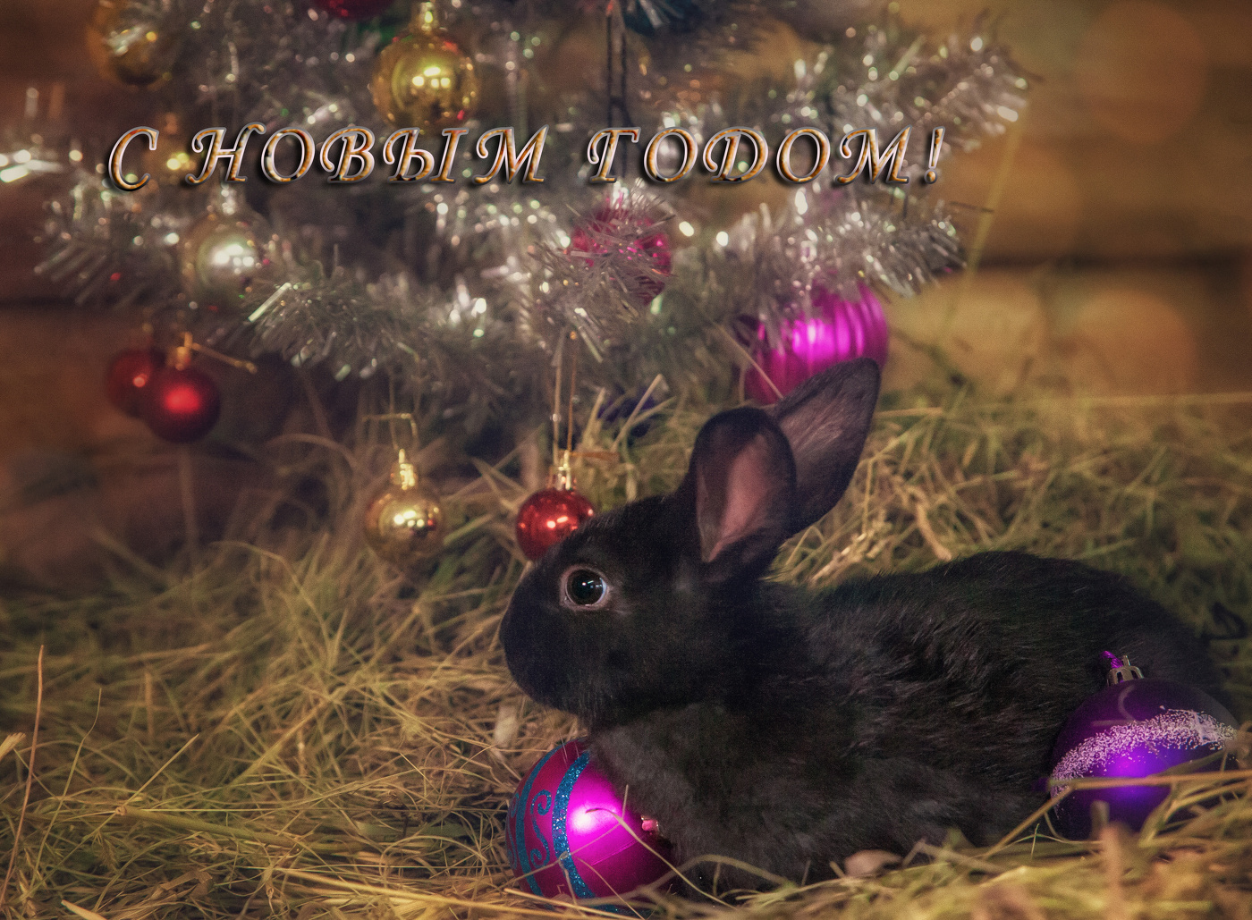 С Новым годом!