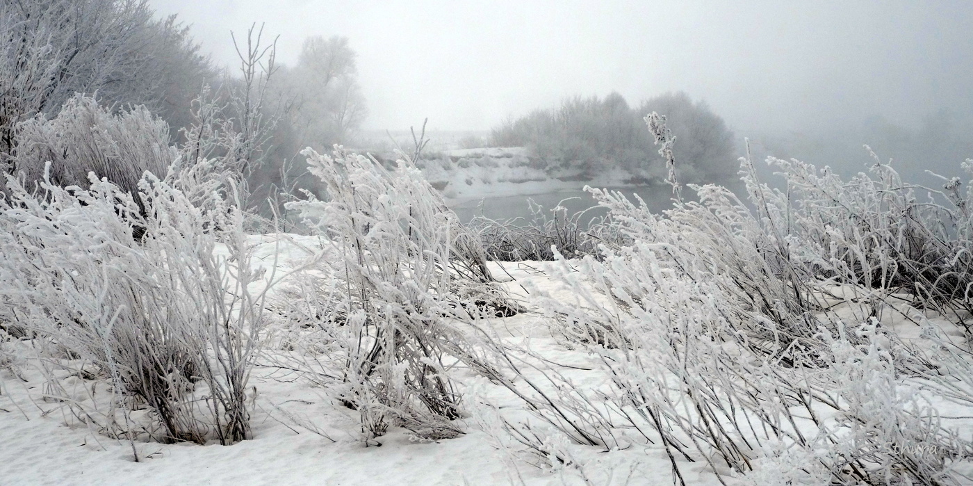 Иней на траве.