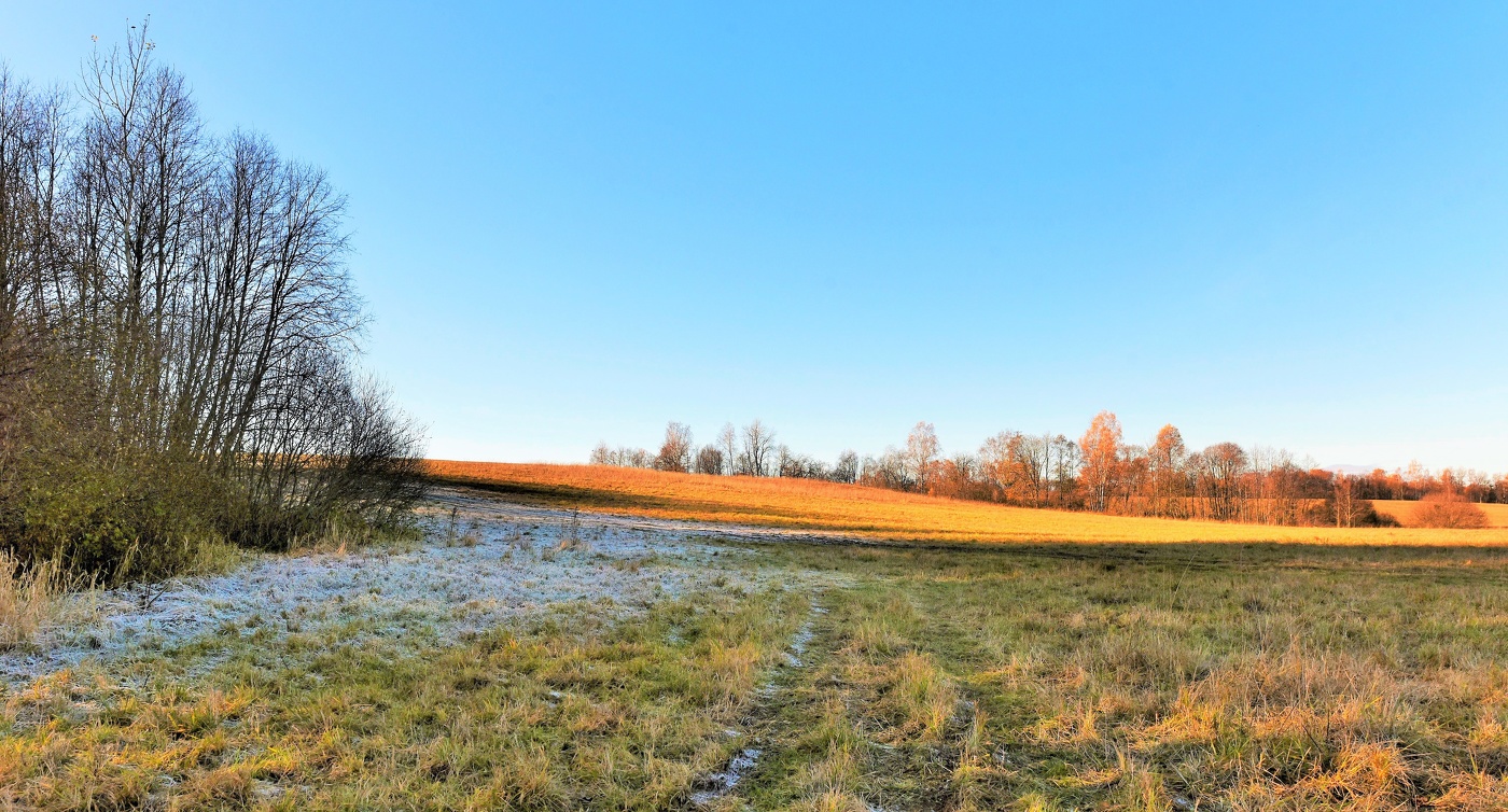 В последних числах октября ...