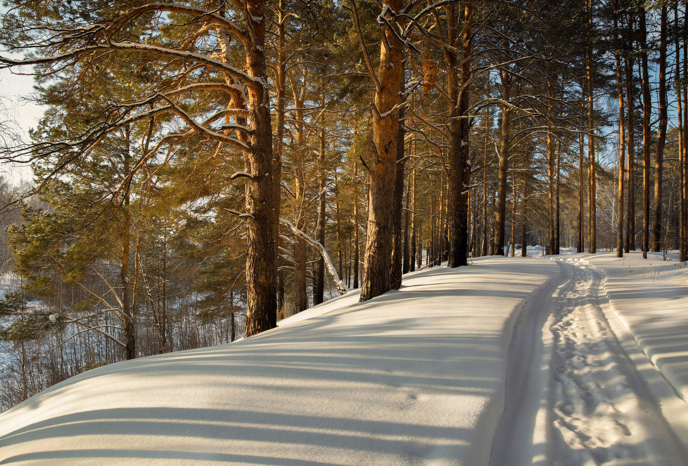 Зимний пейзаж.