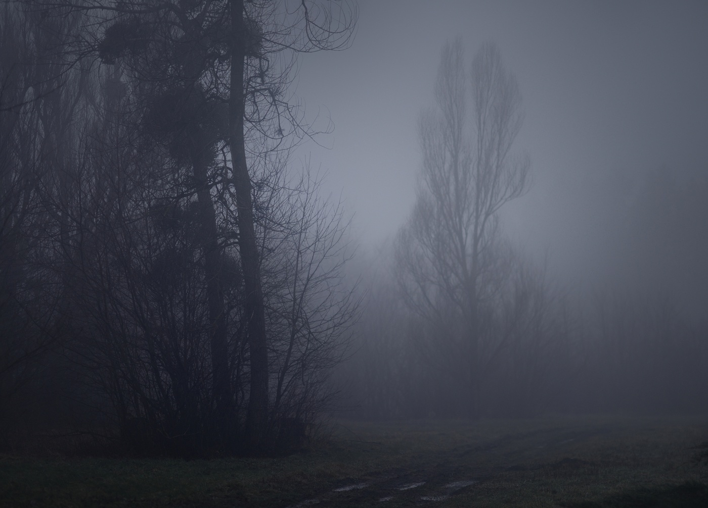 Туманный рассвет