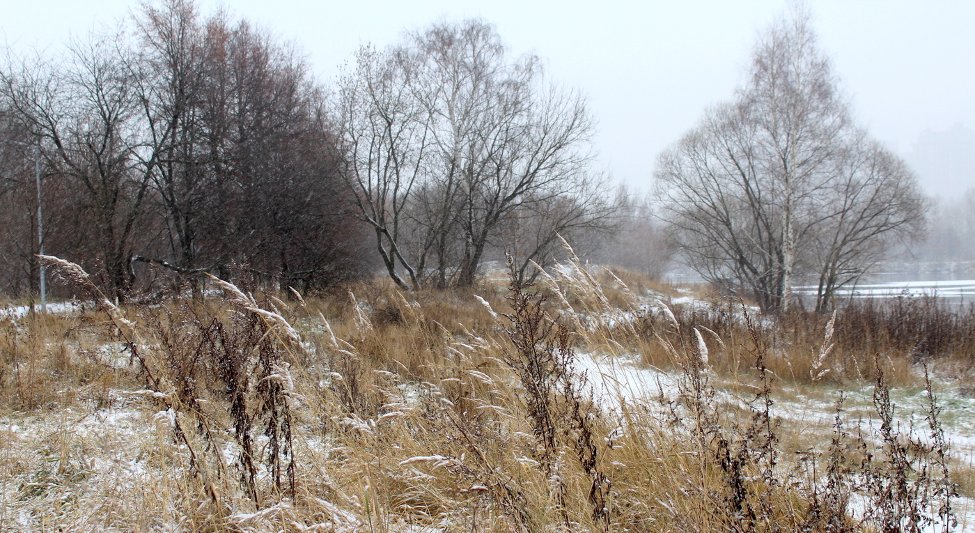 Начало зимы.