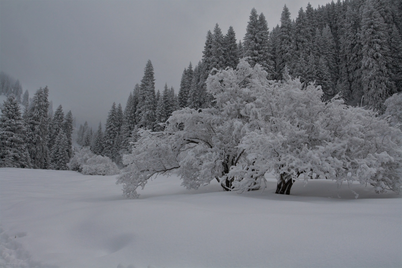 После снегопада