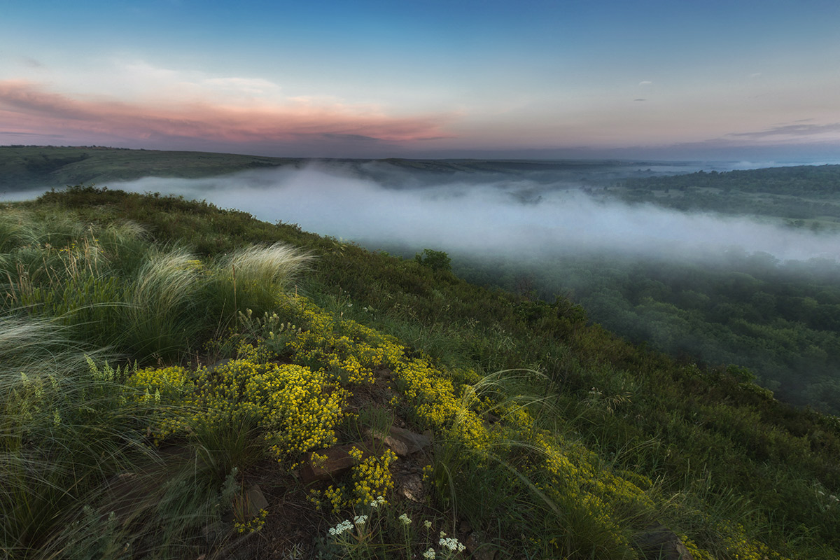 Просыпается с рассветом