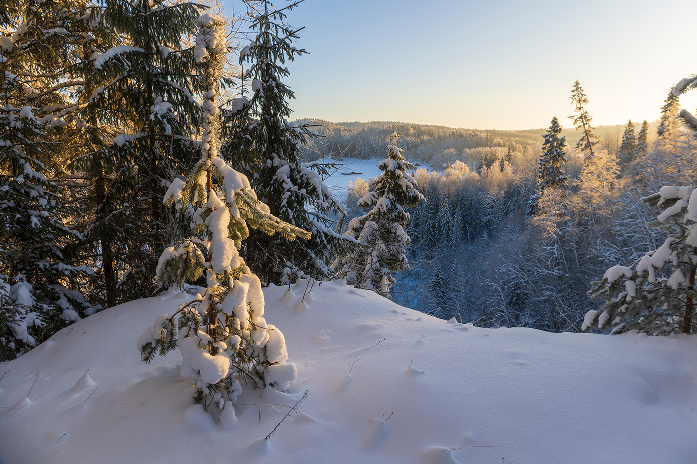 Берег долины