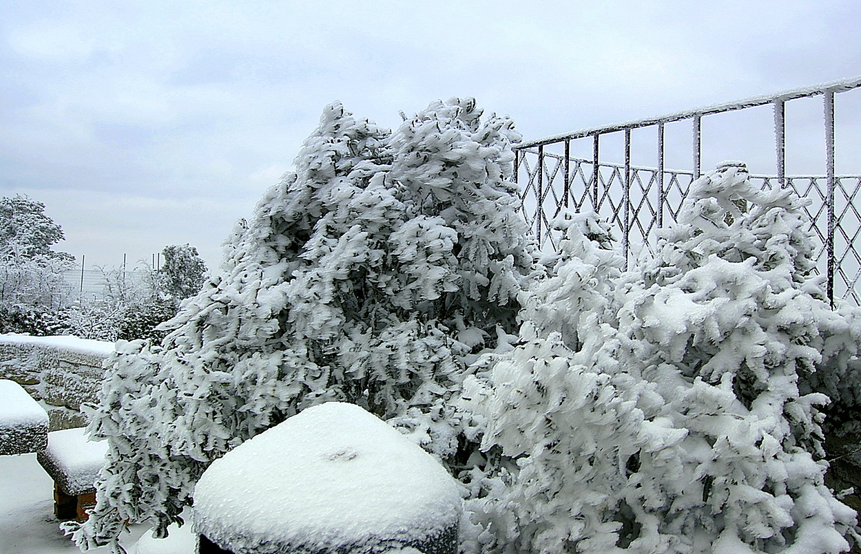 Зимние сюрпризы природы