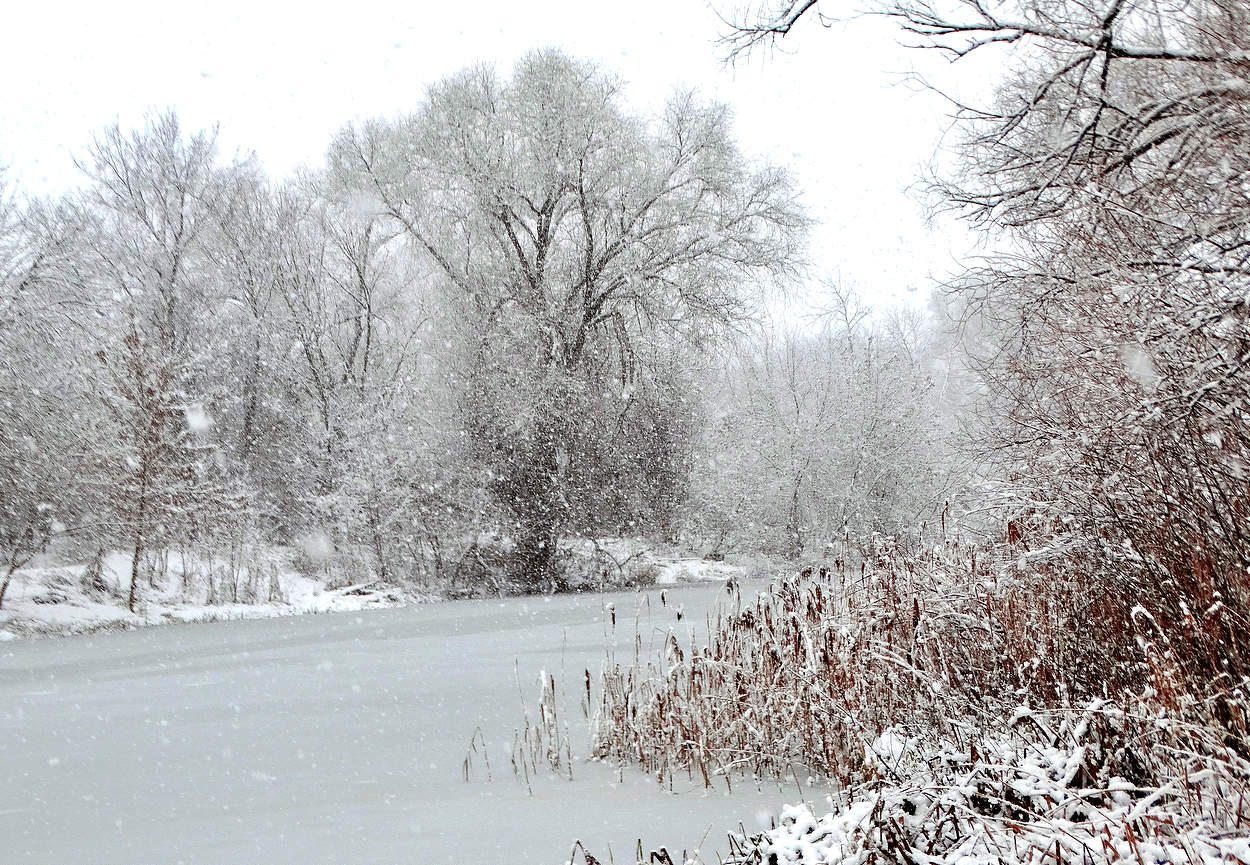 Снег кружится и всё застилает