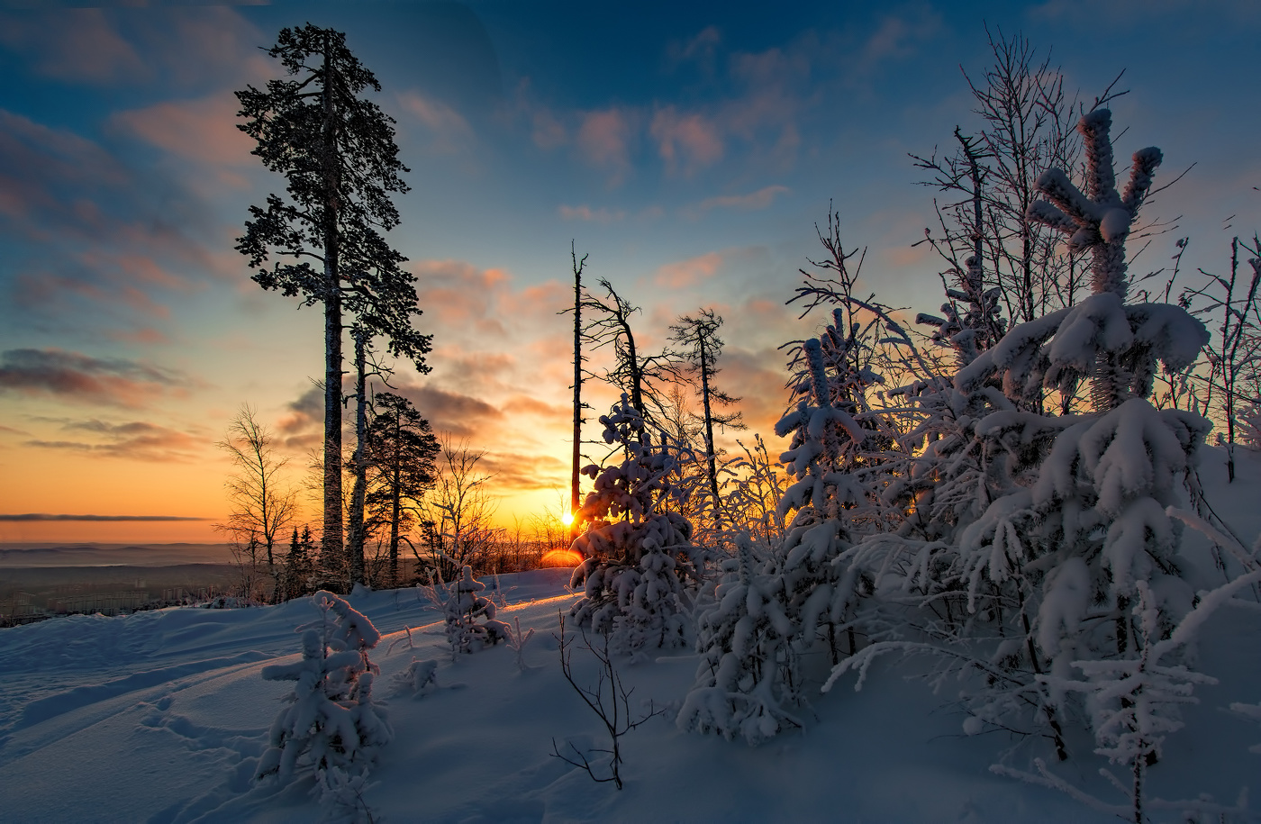 Утренний свет