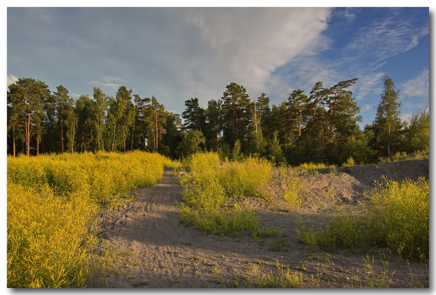 Подмосковный вечерок