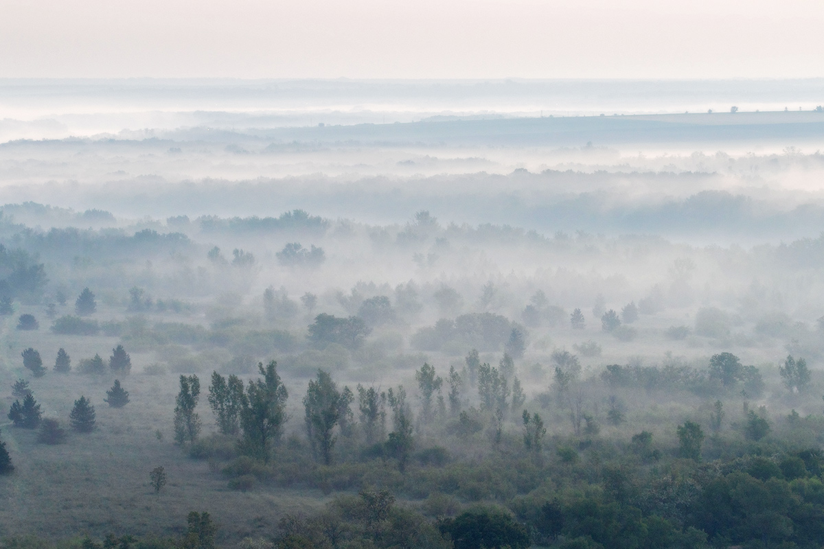 Туманные дали
