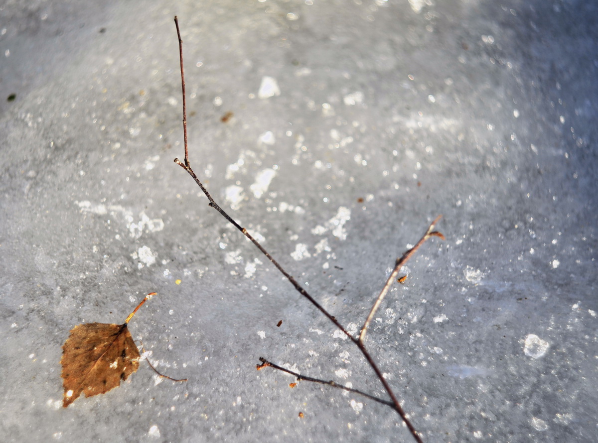 середина зимы