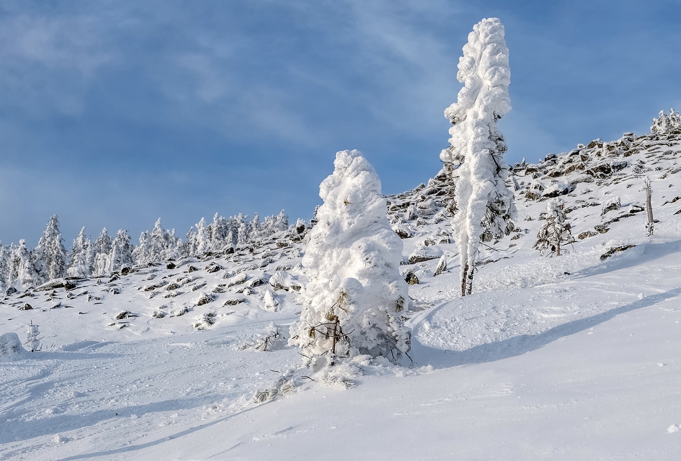 Снежная парочка