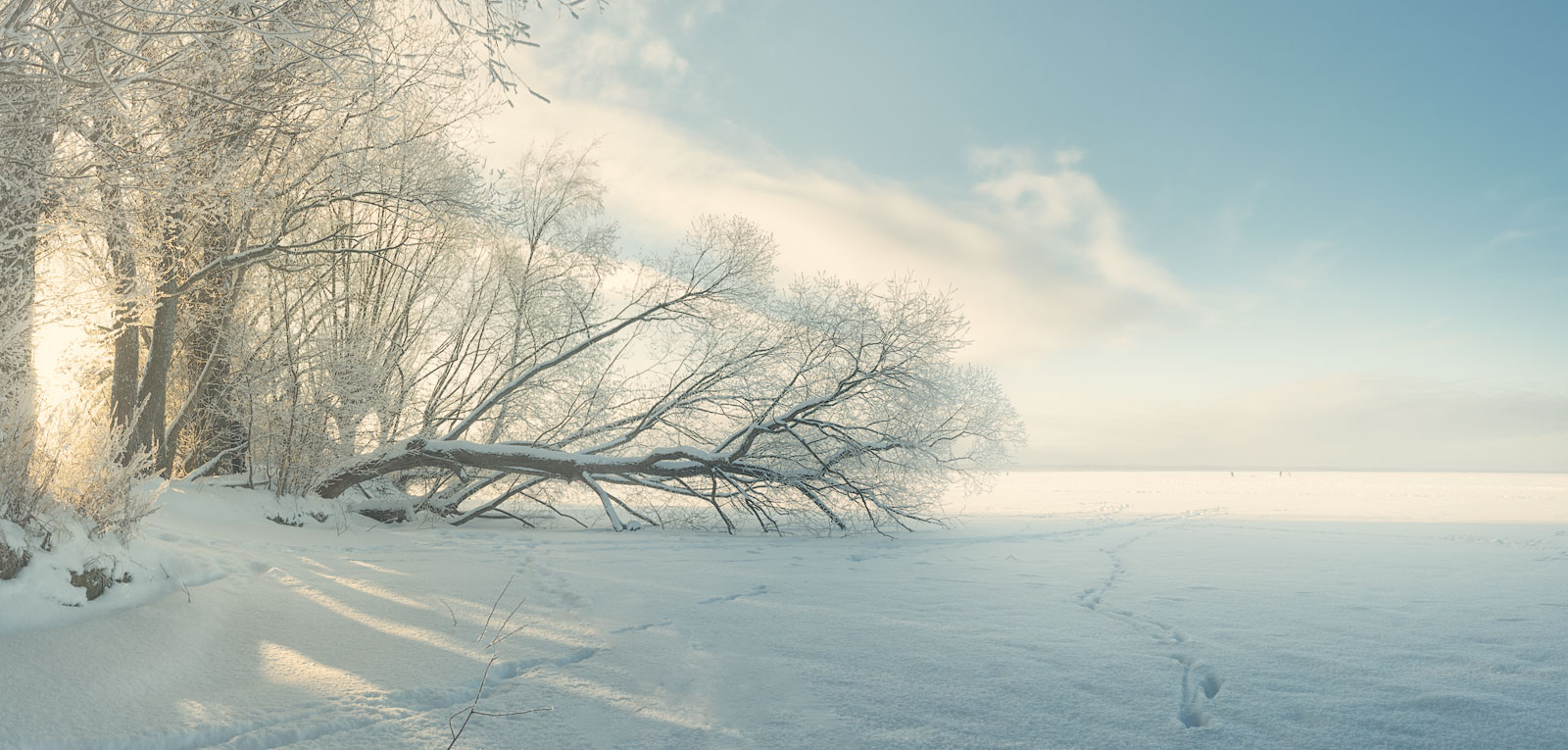 Накануне Рождества