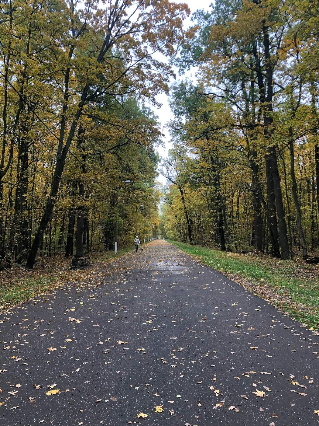 Дама с собачкой