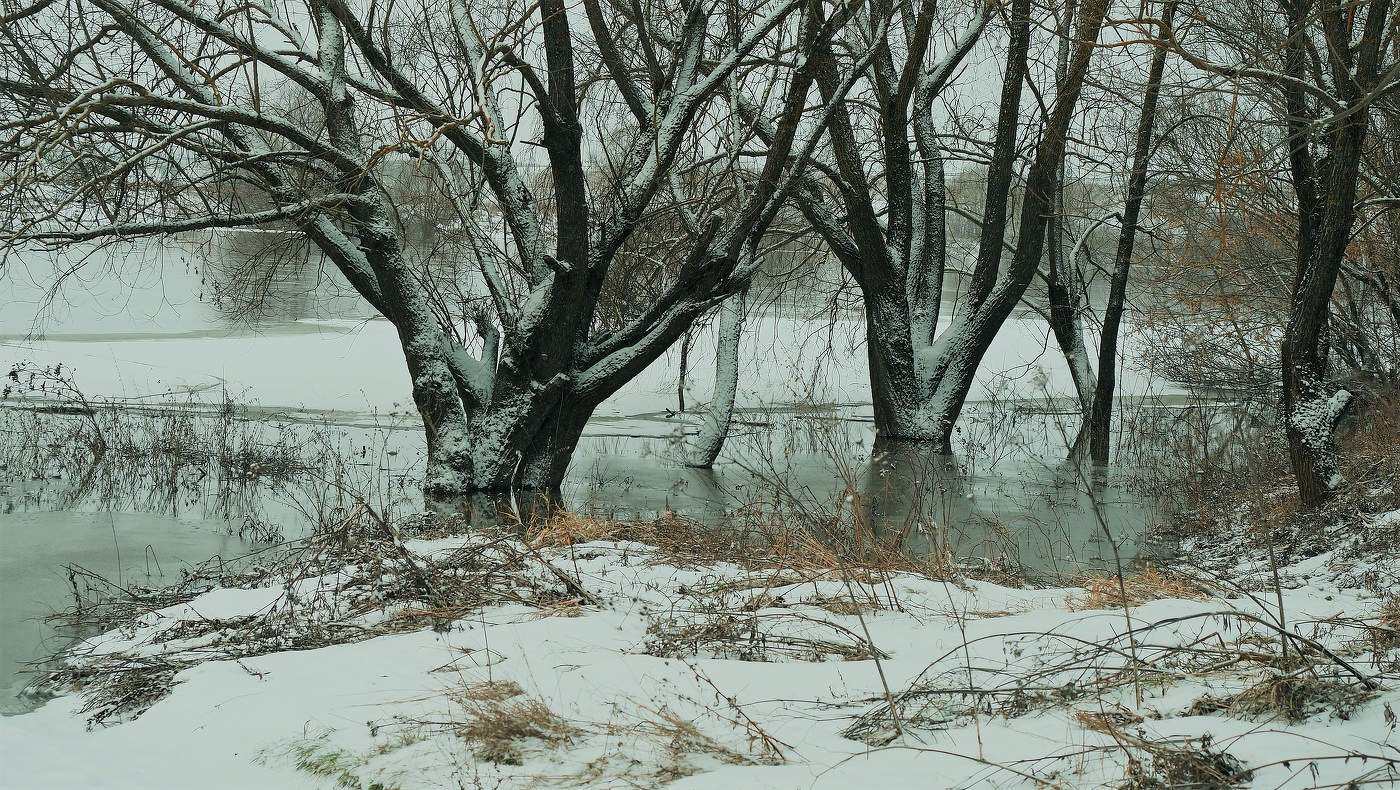 Сюрприы в декабре-лёд растаял на Оке.