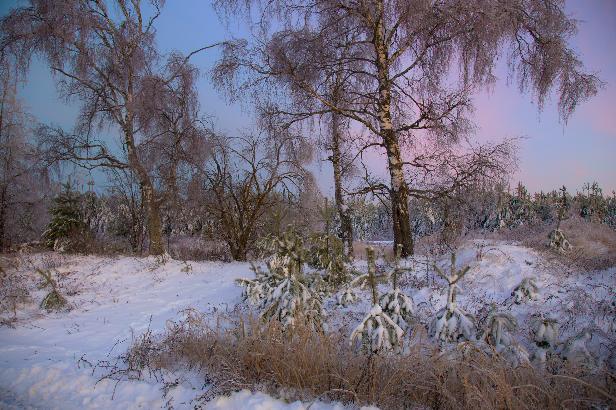 До восхода солнца.