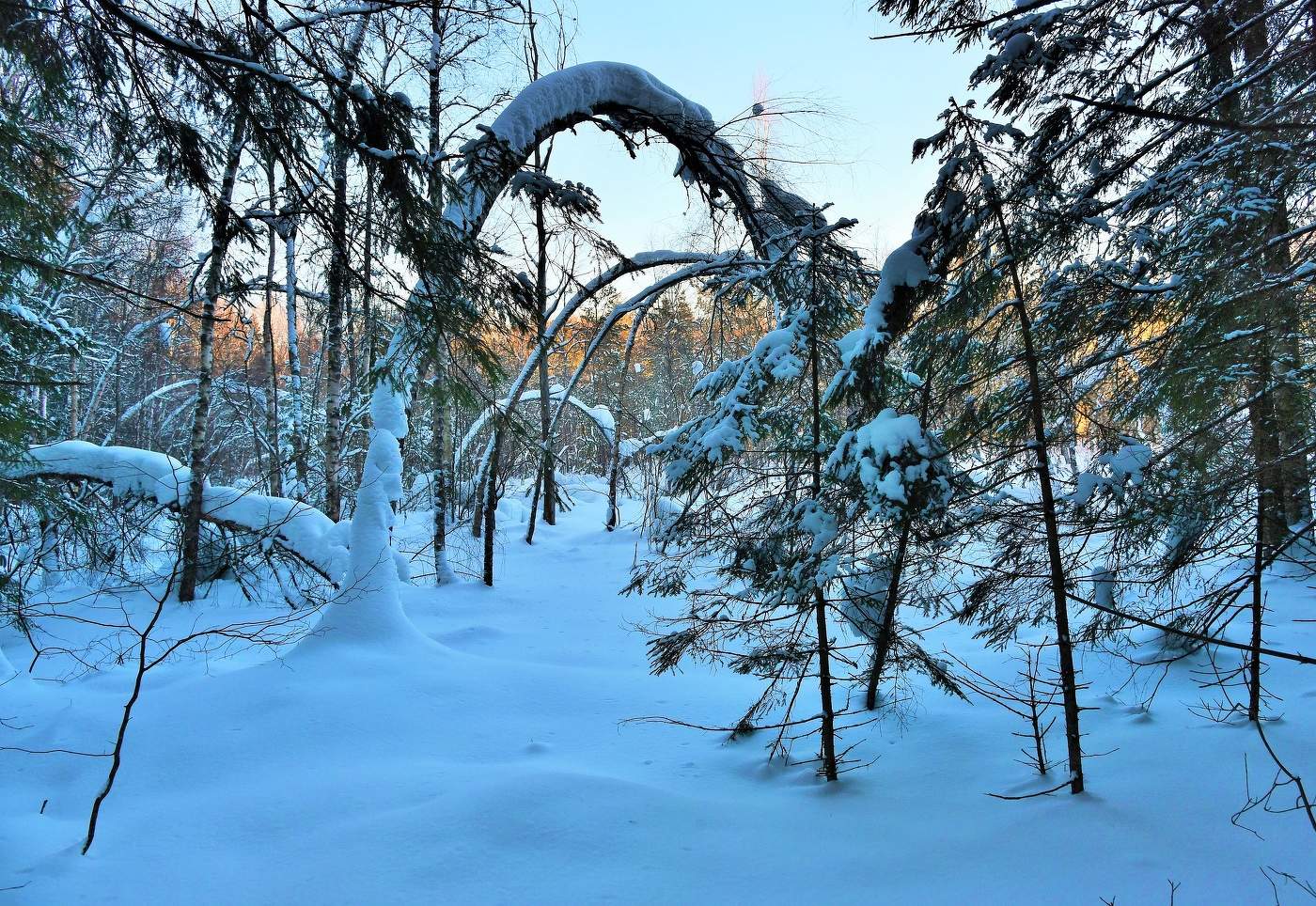 "Неподвижен заснеженный лес ..."