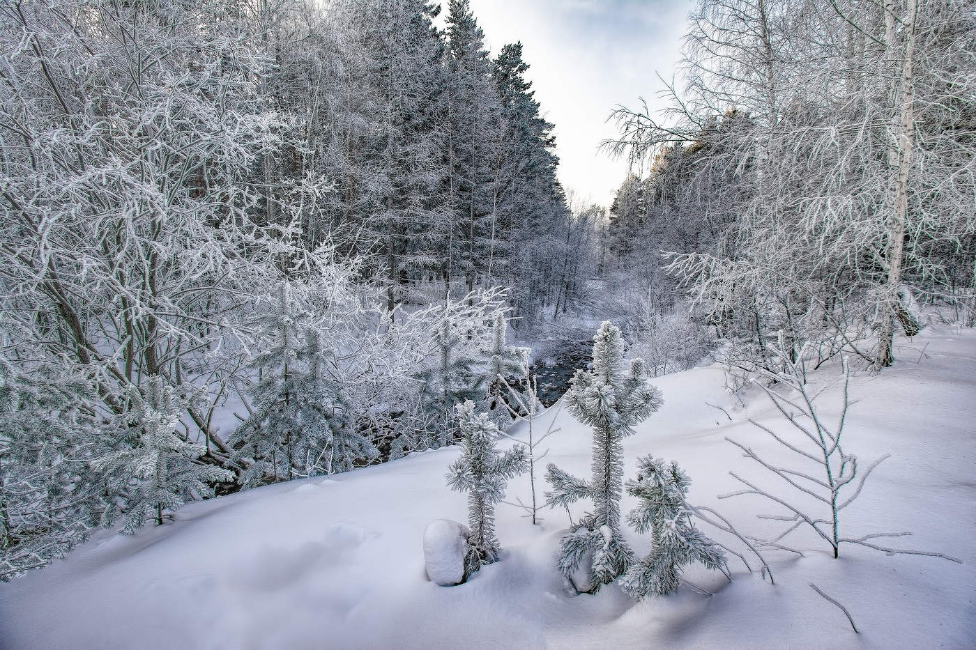 Морозный декабрь