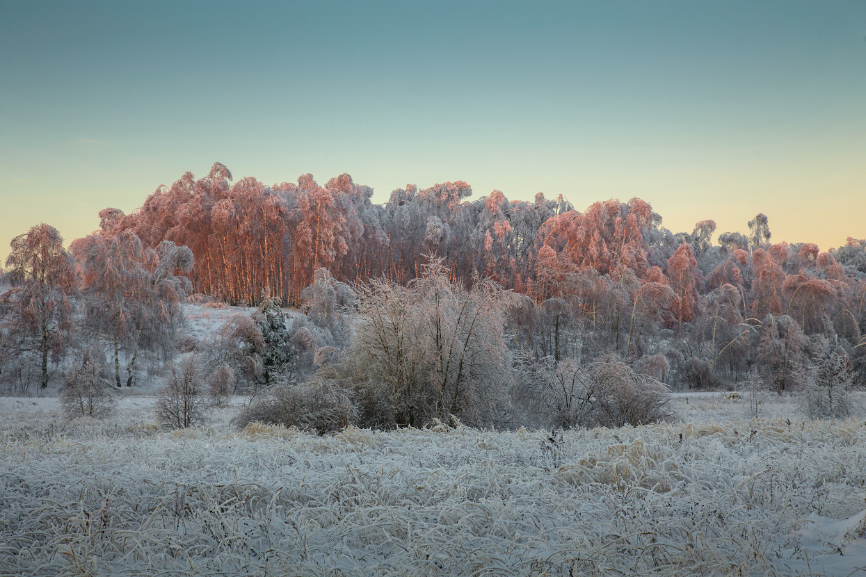 Первые лучи морозного утра