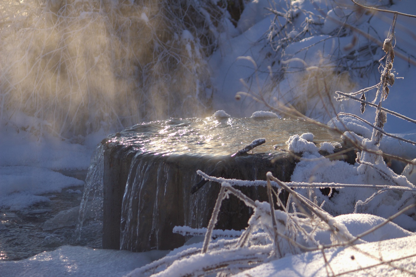 Мороз и солнце...